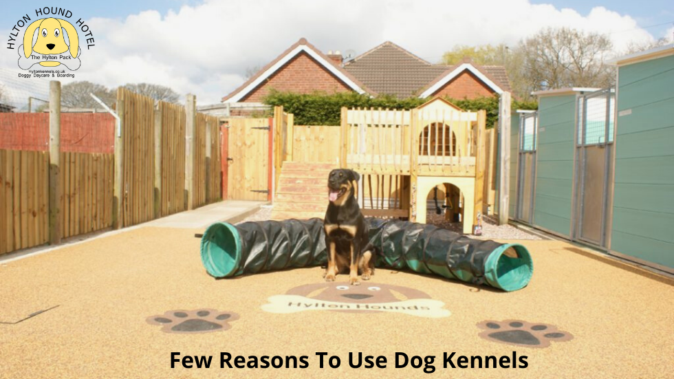 Dog kennels