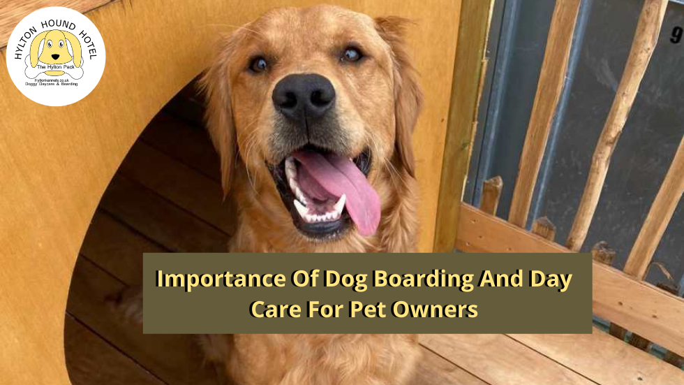 Dog kennels