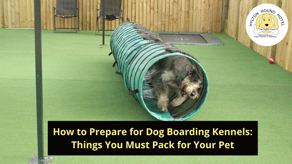 Dog Kennels