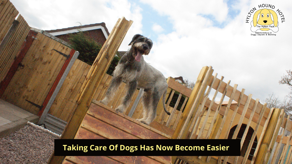 Dog kennels