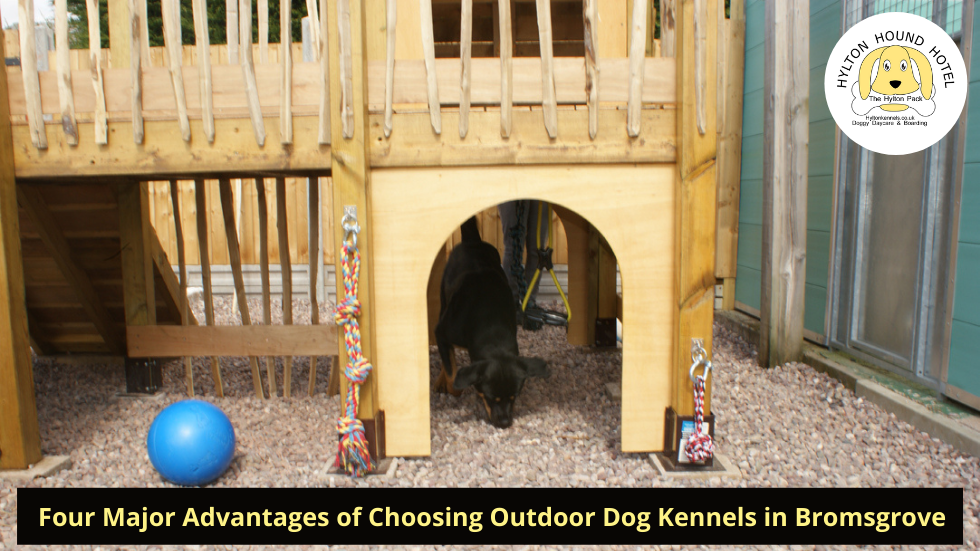Dog kennels