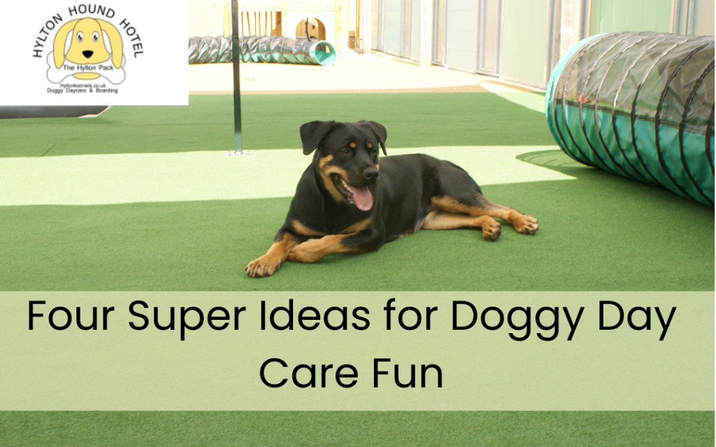 Doggy day care Bromsgrove