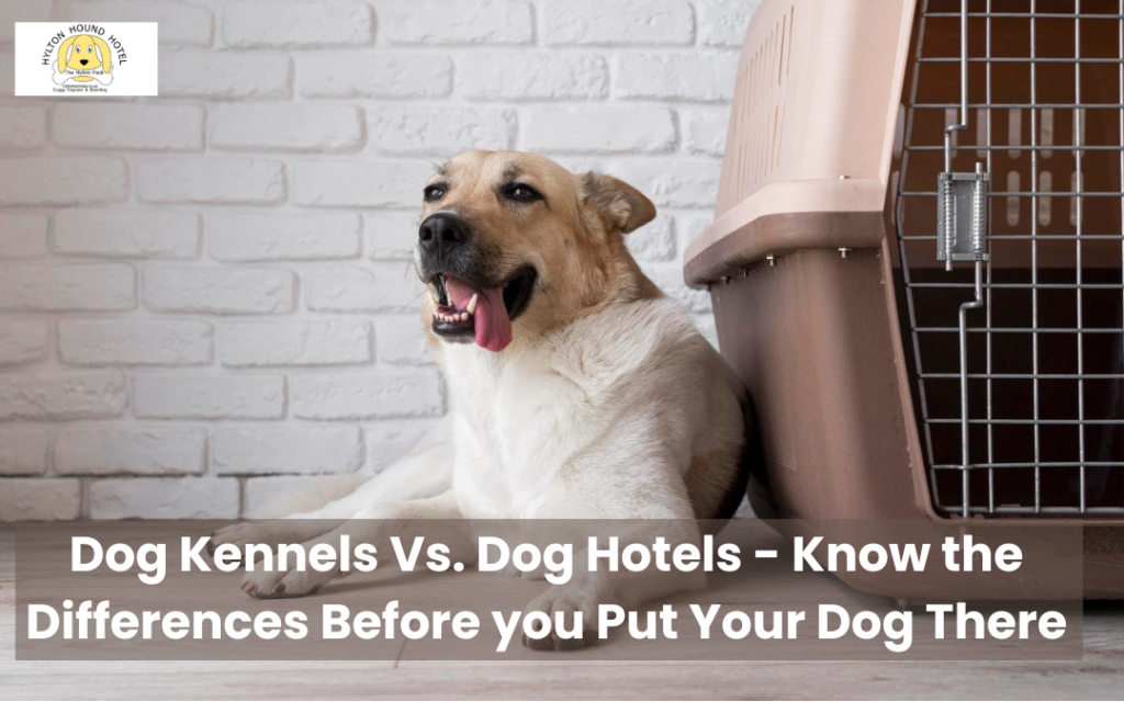 Dog kennels