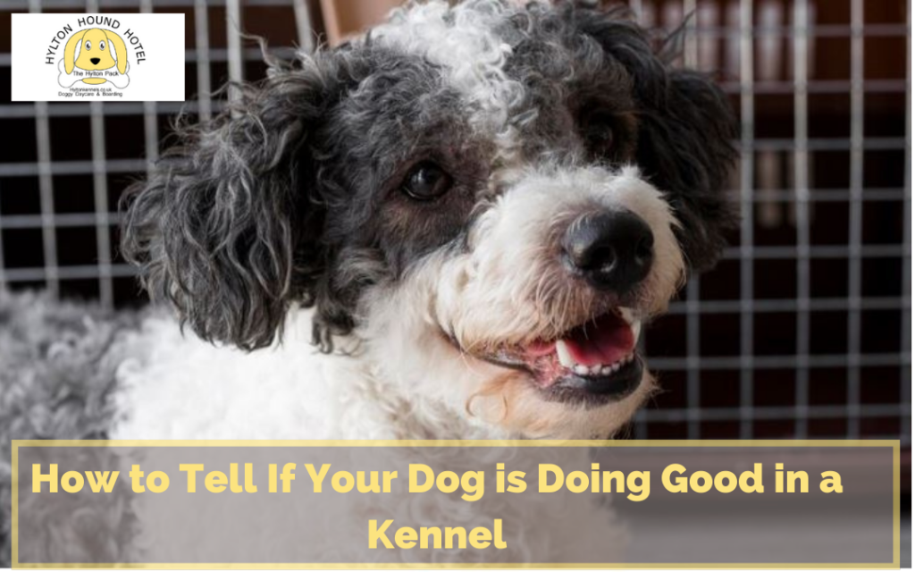 Dog Kennels