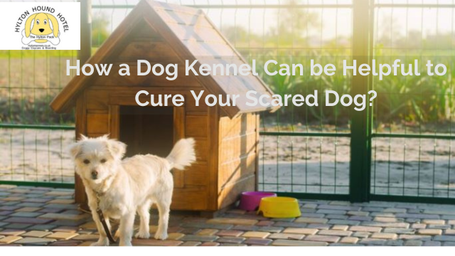 dog kennel