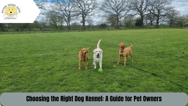 Dog Kennels Bromsgrove