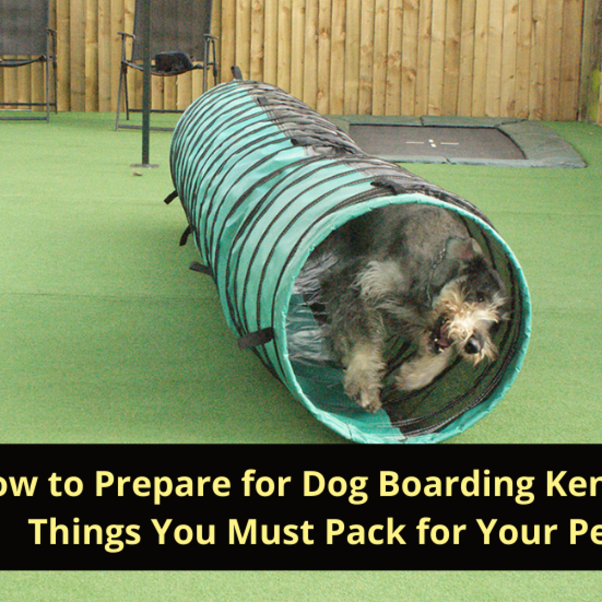 Dog Kennels