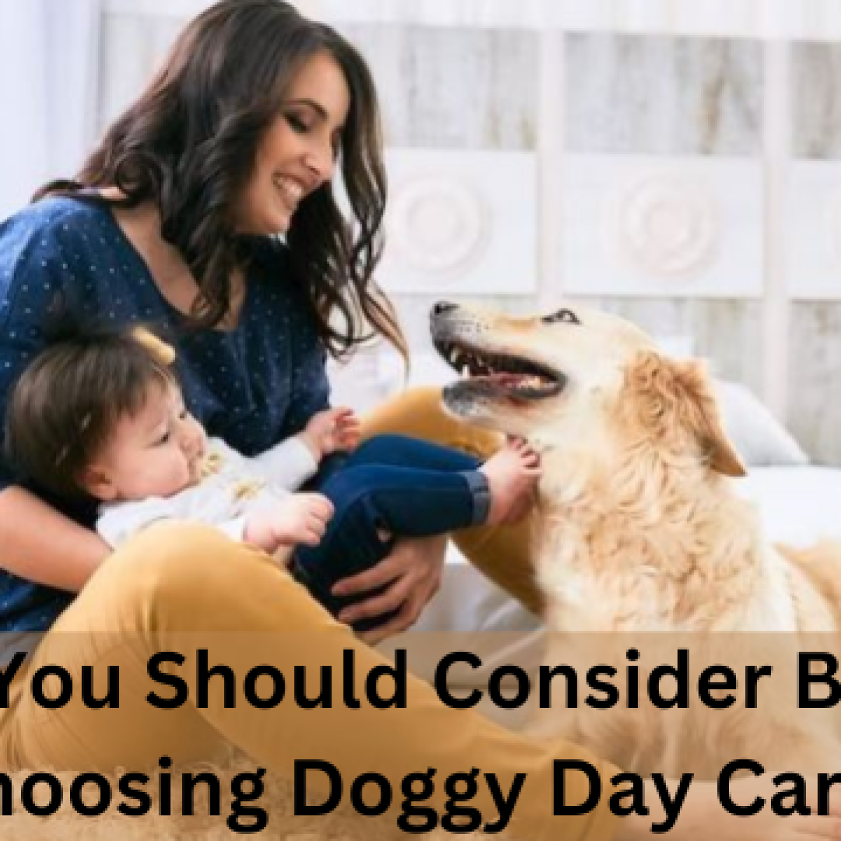 doggy day care