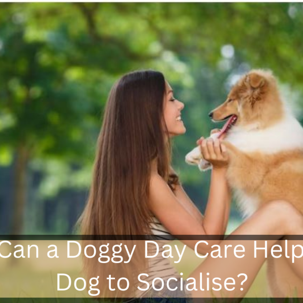 dog care
