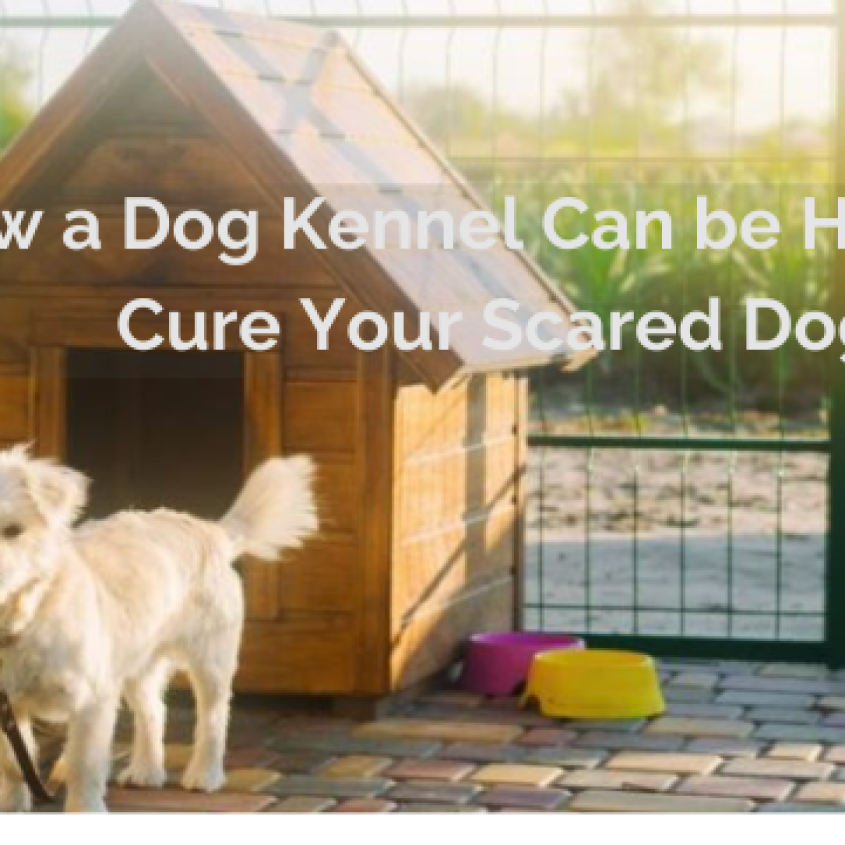 dog kennel