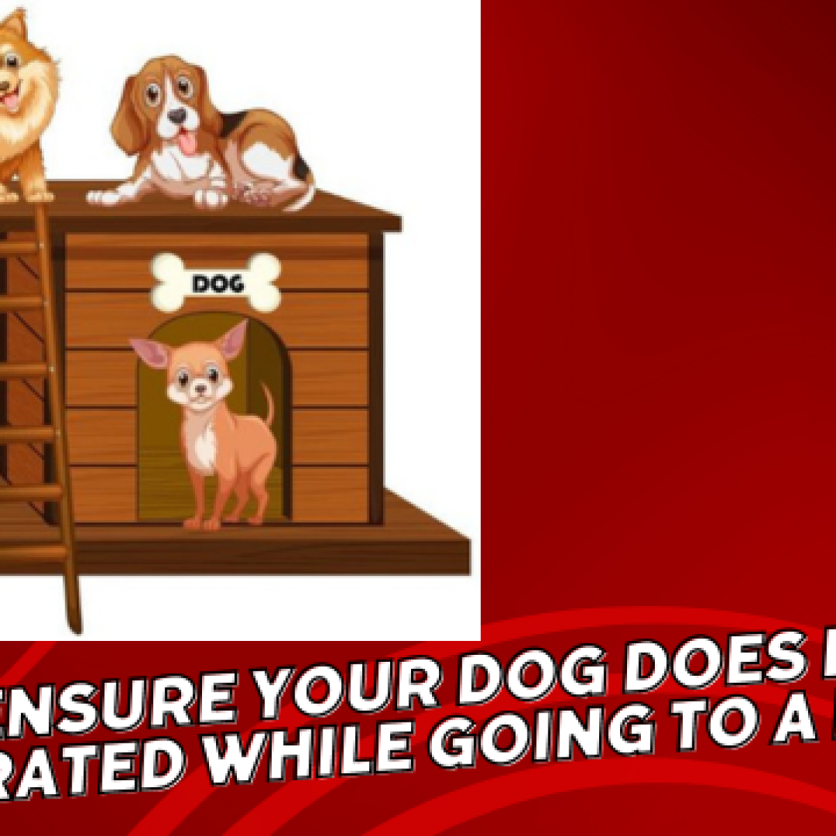 Dog kennels
