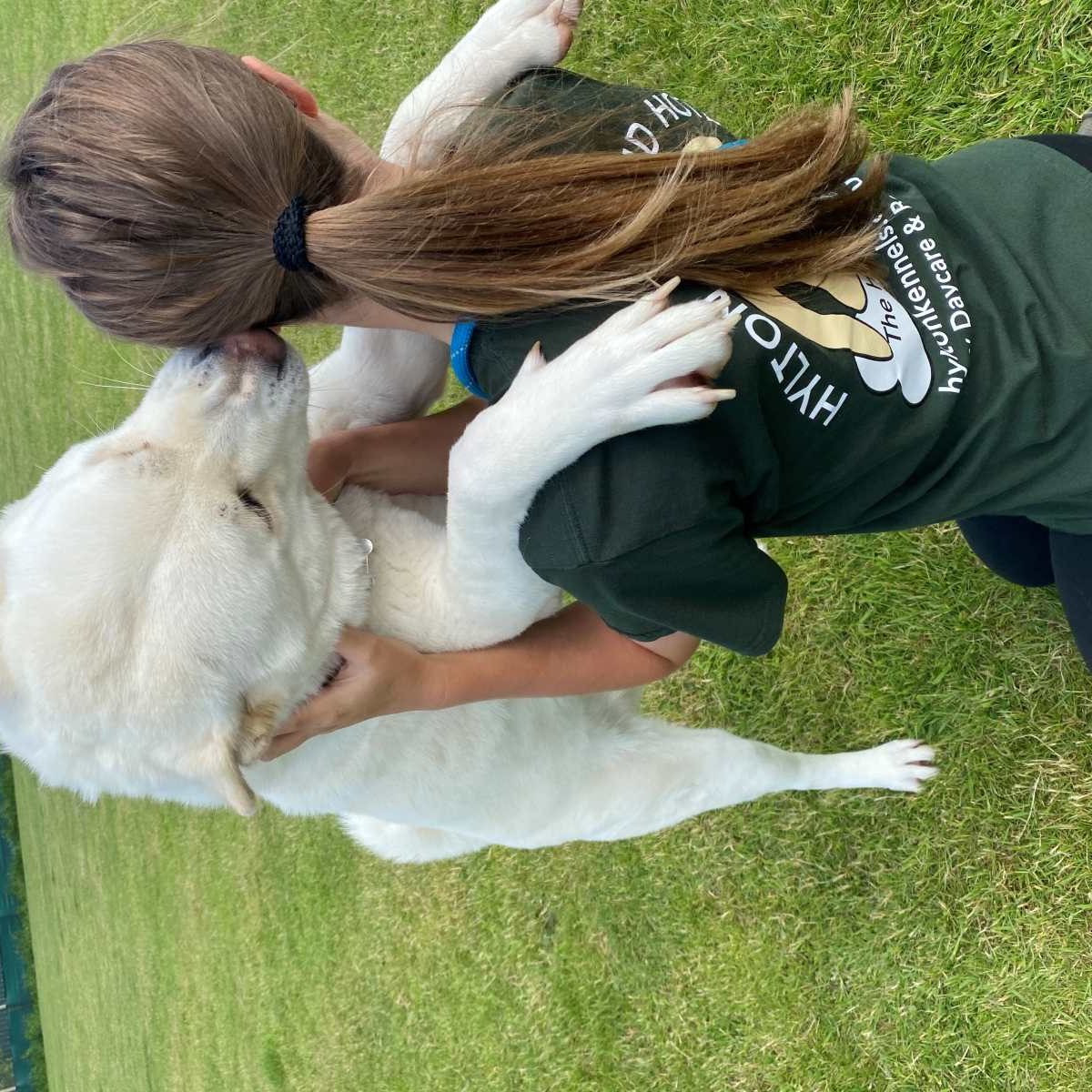 Doggy day care