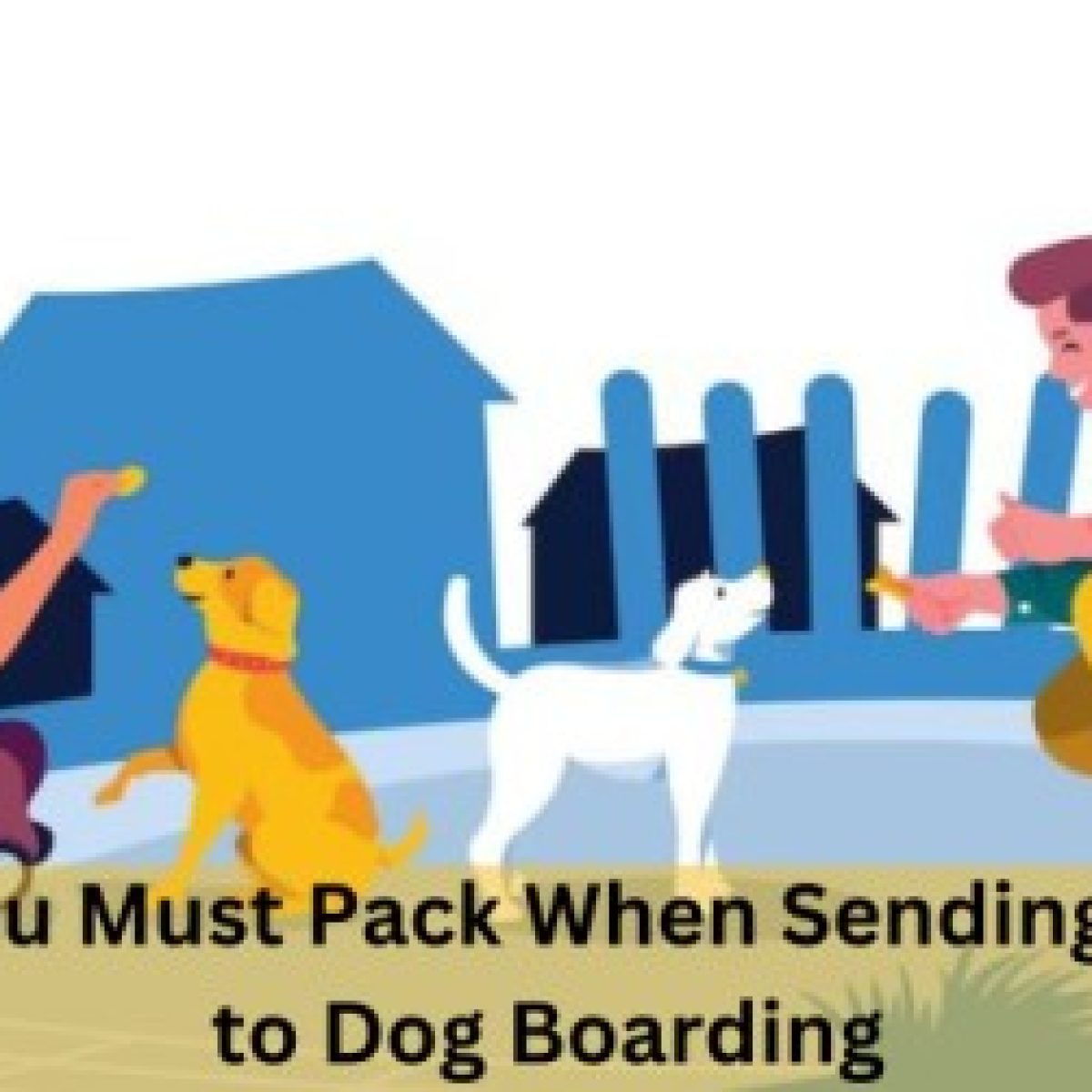 dog boarding